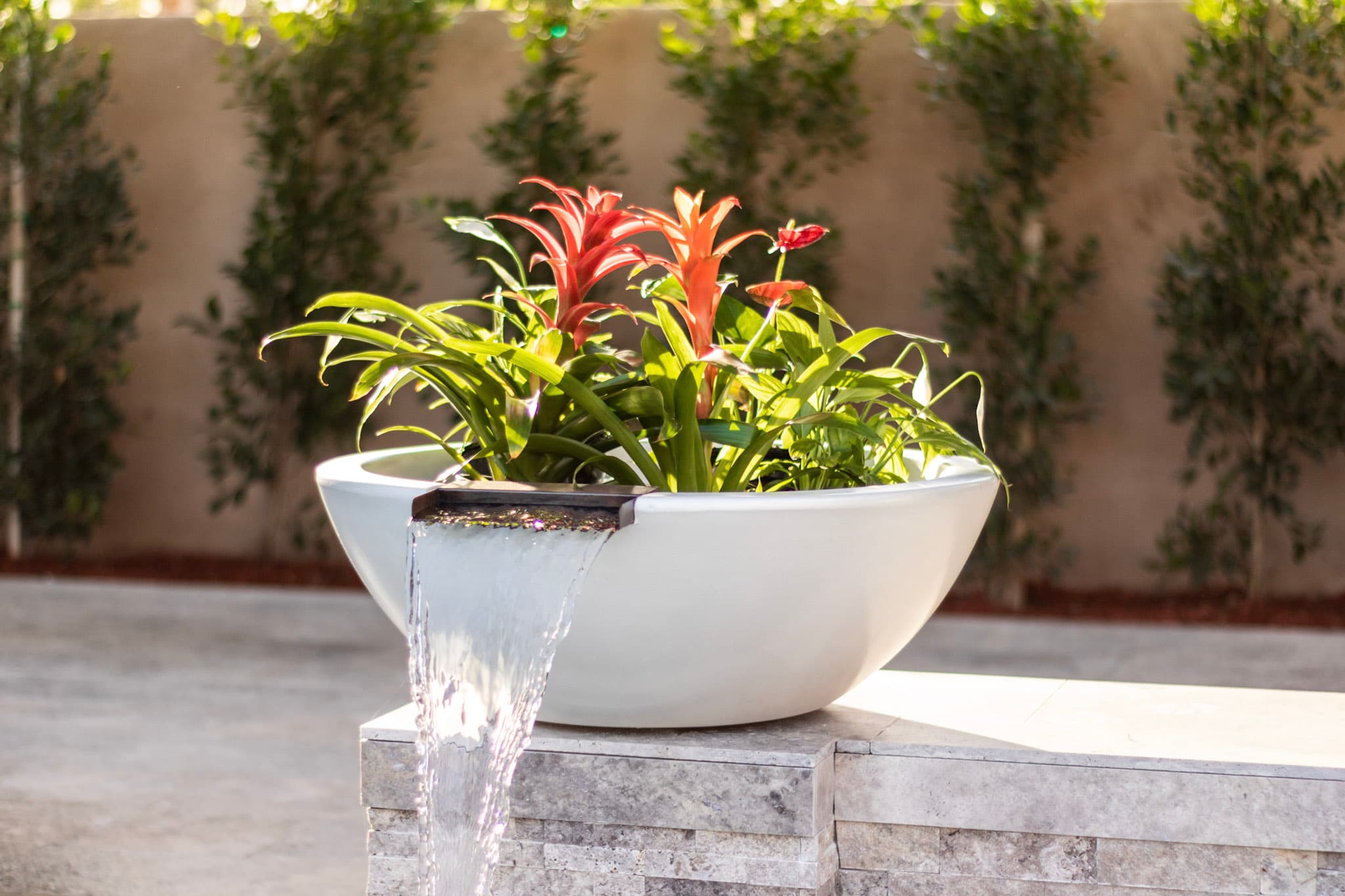 Sedona · Planter · Water · Bowl · Lifestyle ·
